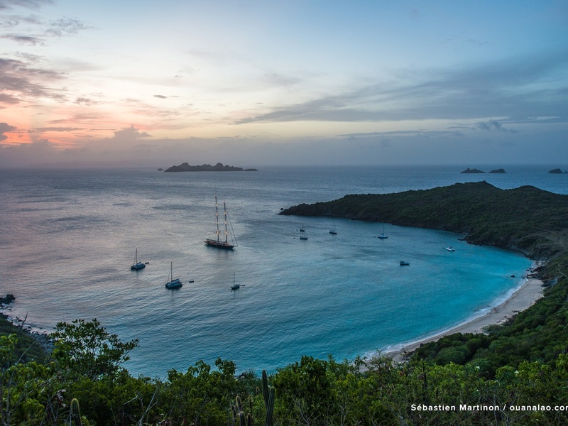Services d'agence de voyage
